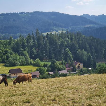 Penzion Na Lukach Hotel Horní Bečva Екстериор снимка