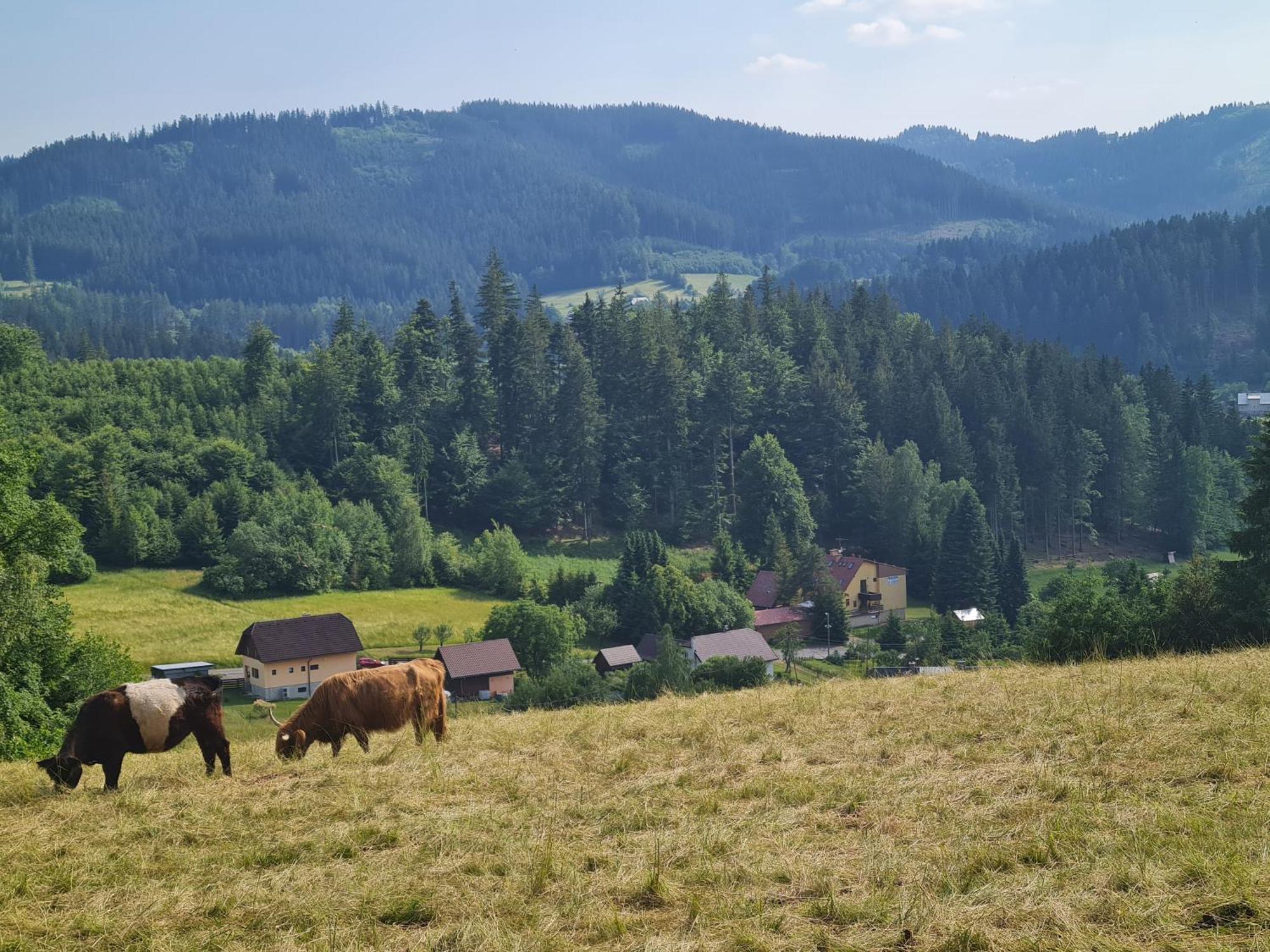 Penzion Na Lukach Hotel Horní Bečva Екстериор снимка